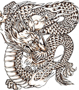 龍イラスト